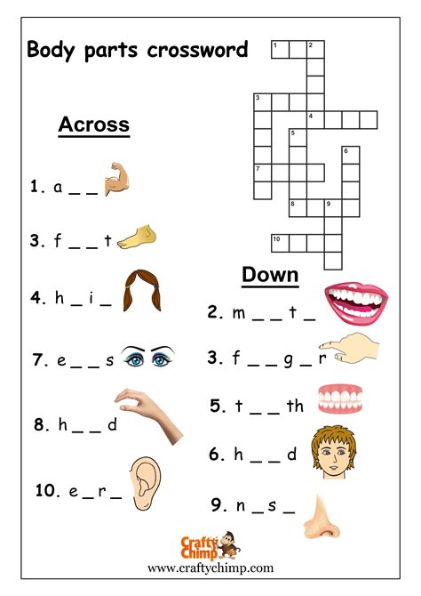 part of the body crossword clue|5 part of the body crossword.